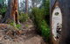 Lake St Clair (Cradle Mountain  - Lake St Clair National Park) - thumb 2