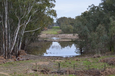 Lawson Syphon - New South Wales Tourism  1