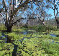 Macquarie Valley Trails - New South Wales Tourism 