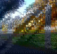 Mansfield Botanic Park - New South Wales Tourism 