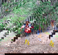 Margaret River Rails Trail - New South Wales Tourism 