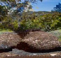 Marramarra Ridge to Smugglers Ridge walking track - New South Wales Tourism 