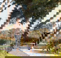 Meningie Walking and Cycling Trails - New South Wales Tourism 