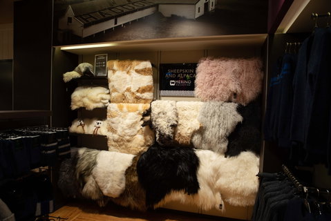 Merino Collection - Perth Airport T1 - New South Wales Tourism  1