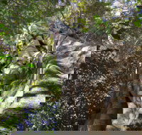 Moore Park Nature Reserve - New South Wales Tourism 