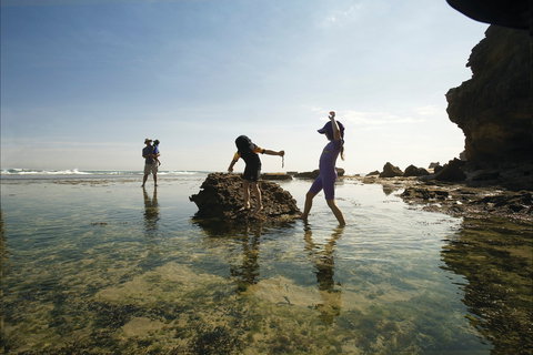 Mornington Peninsula National Park - New South Wales Tourism  2