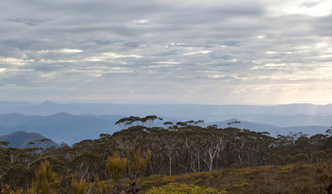 Mount Budawang Trail - New South Wales Tourism  0