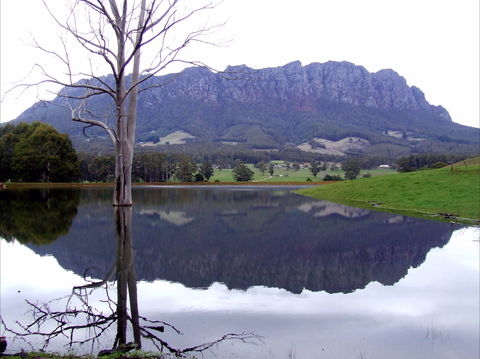 Mount Roland - New South Wales Tourism  0