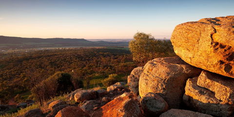 Mount Brown Lookout - New South Wales Tourism  0