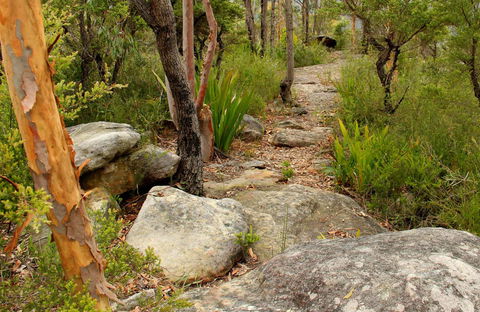 Mount Olive Trail - New South Wales Tourism  0