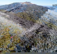 Mt Buller Bike Park - New South Wales Tourism 