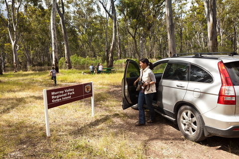 Murray Valley Regional Park - New South Wales Tourism  0