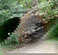 Mushroom Tunnel