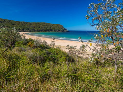 North Durras Beach - New South Wales Tourism  0