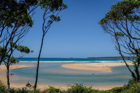 North Durras Beach - New South Wales Tourism  1