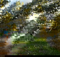 North Western Fishing Trail - New South Wales Tourism 