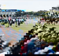 Oakbank - New South Wales Tourism 