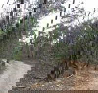 Paddys Ranges State Park - New South Wales Tourism 