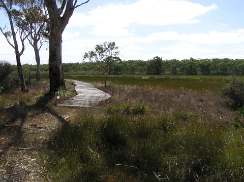 Penola Conservation Park - New South Wales Tourism  0