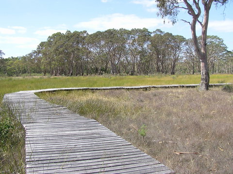Penola Conservation Park - New South Wales Tourism  1