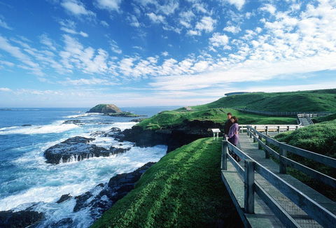 Phillip Island - New South Wales Tourism  1