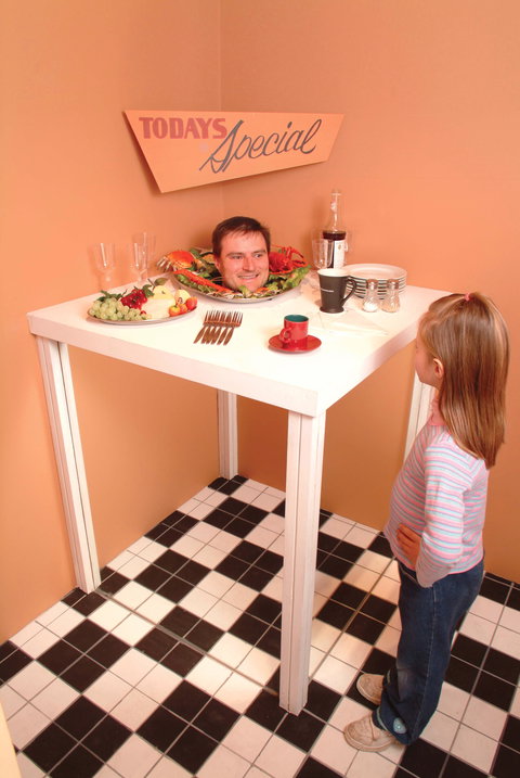 Phillip Island Experience - New South Wales Tourism  0