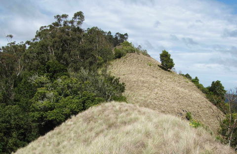 Pieries Peak Walking Track - New South Wales Tourism  0