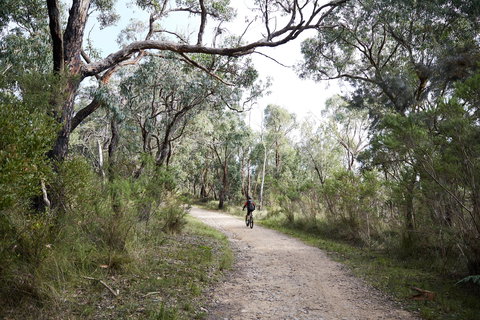 Pink Line And Loop Trail - Mountain Biking - New South Wales Tourism  1