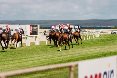 Port Lincoln Racing Club Inc - New South Wales Tourism  1