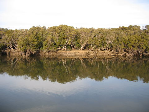 Price - New South Wales Tourism  0