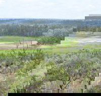 Princess Hills Girringun National Park - New South Wales Tourism 