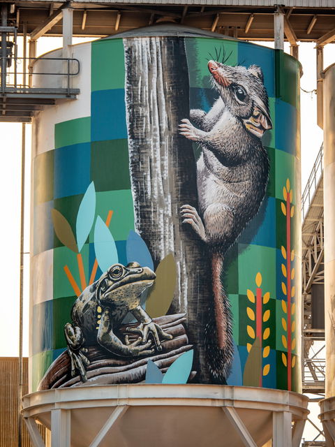 PUBLIC Silo Trail: Newdegate - New South Wales Tourism  2