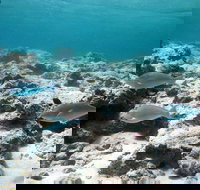 Purdy Point - New South Wales Tourism 