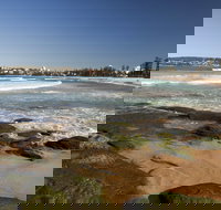 Queenscliff Beach - New South Wales Tourism 