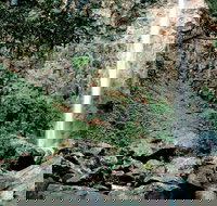 Rawson Falls Walk - New South Wales Tourism 