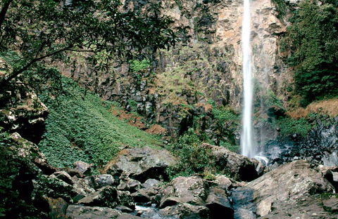 Rawson Falls Walk - New South Wales Tourism  0