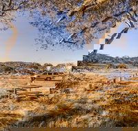 Rennix walking track - New South Wales Tourism 