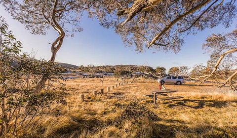 Rennix Walking Track - New South Wales Tourism  0