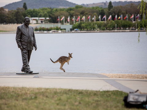 R G Menzies Walk - New South Wales Tourism  1