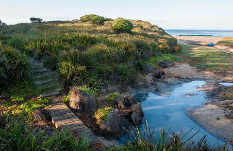 Richmond Beach - New South Wales Tourism  0