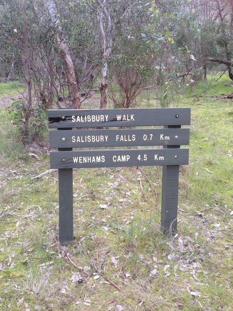 Salisbury Falls Walk - New South Wales Tourism  0