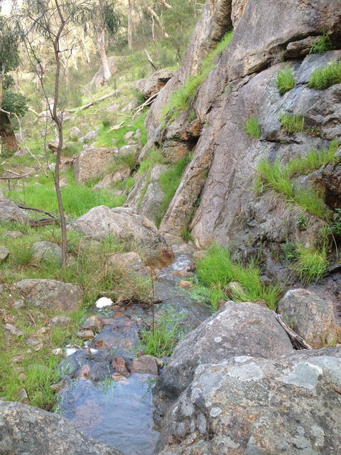 Salisbury Falls Walk - New South Wales Tourism  2