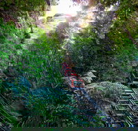 Scenic World Blue Mountains - New South Wales Tourism 