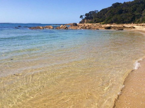 Shelly Beach Picnic Area - Moruya Heads - New South Wales Tourism  0