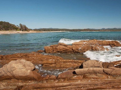 Shelly Beach Picnic Area - Moruya Heads - New South Wales Tourism  1