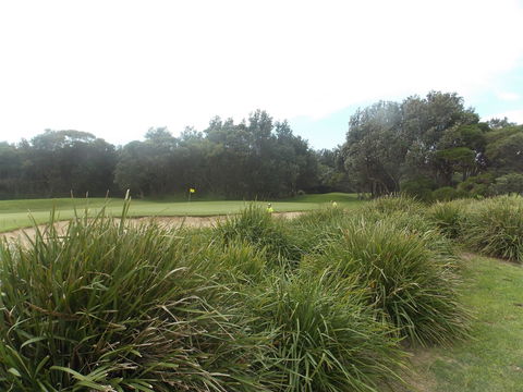 Shoalhaven Heads Golf Club - New South Wales Tourism  0