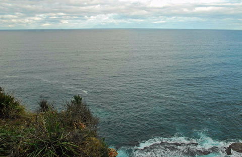 Snapper Point Lookout - New South Wales Tourism  0