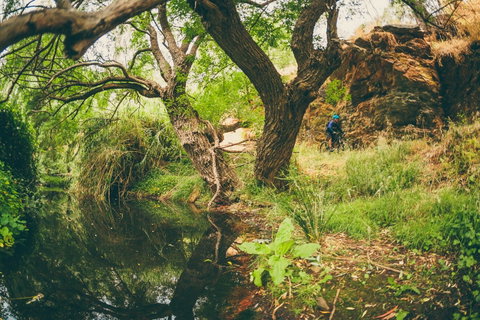 Sturt Gorge Recreation Park - New South Wales Tourism  1