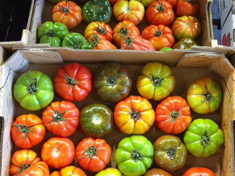 Sydney Produce Market - New South Wales Tourism  1