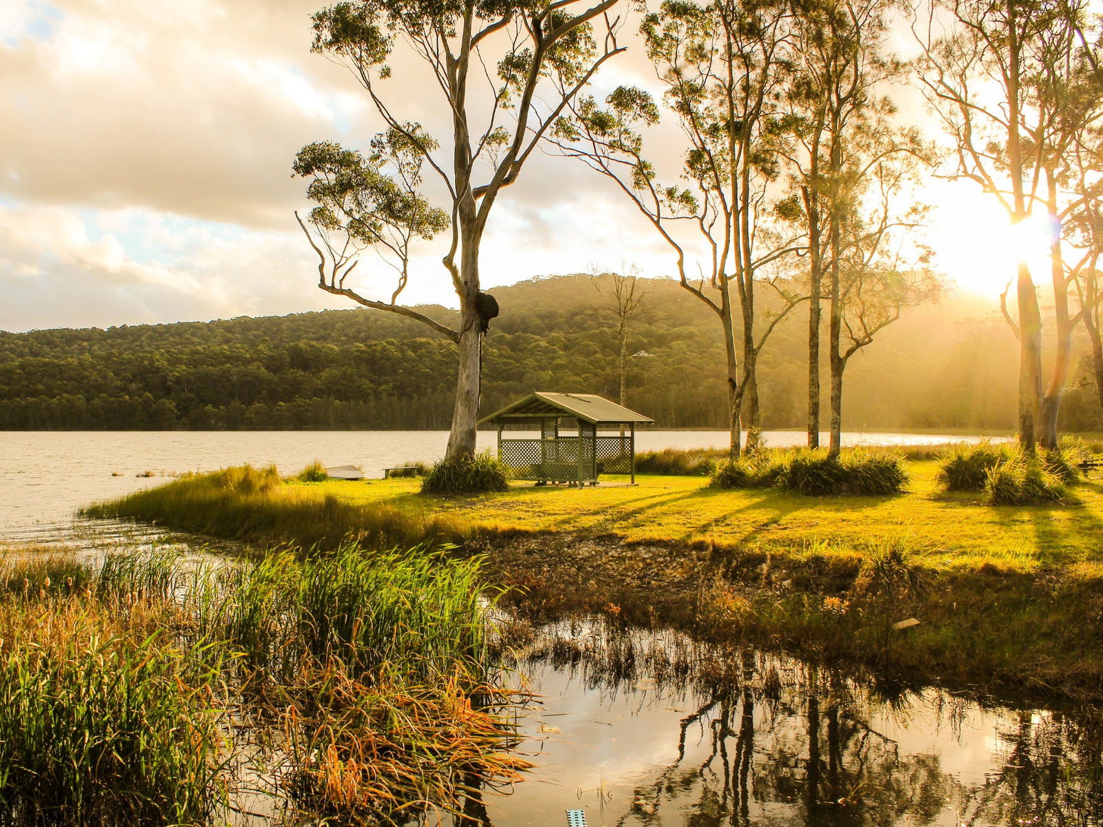 Tarbuck Bay NSW New South Wales Tourism 